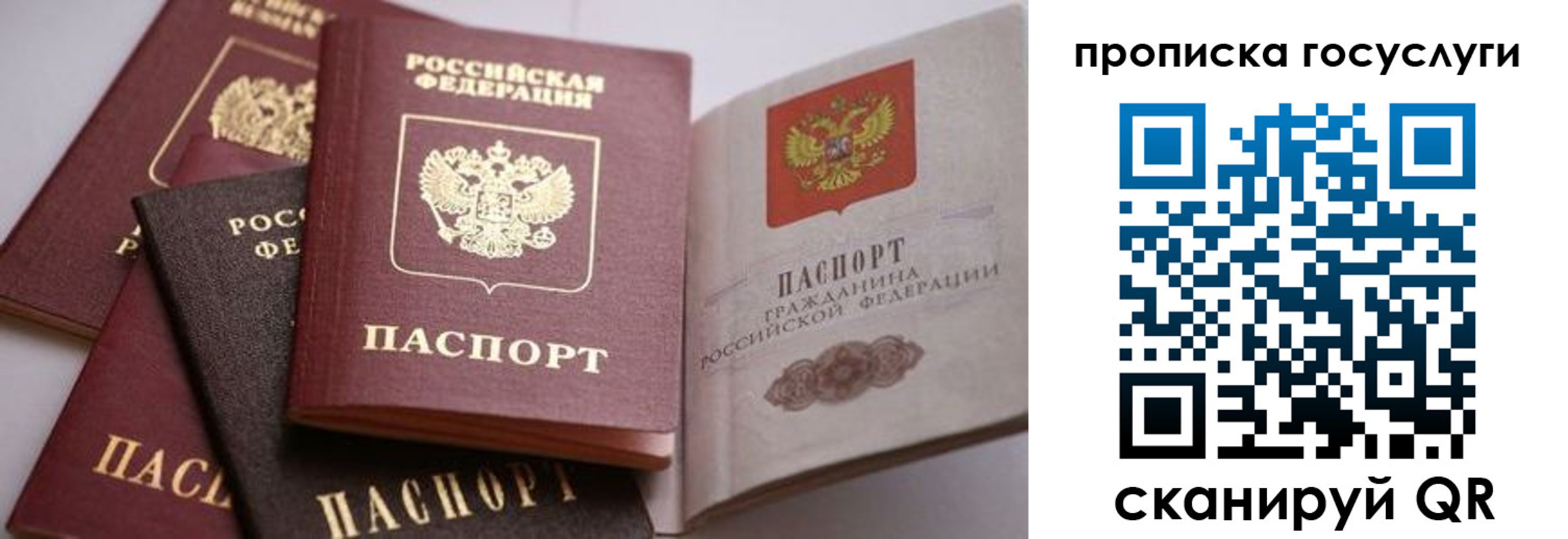 прописка иностранных граждан в Орловской области